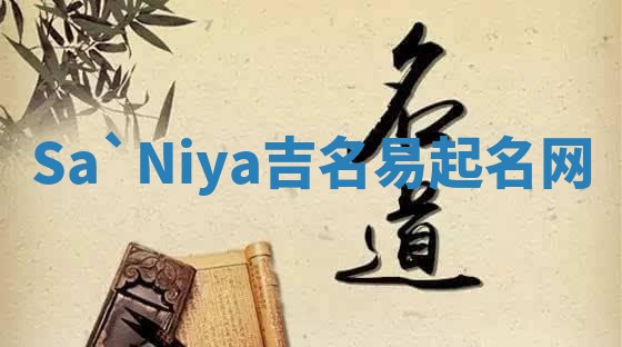 Sa`Niya吉名易起名网